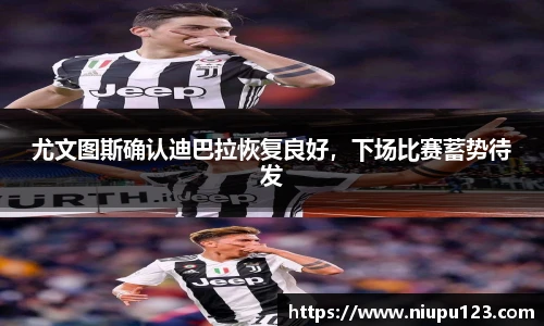 zoty中欧