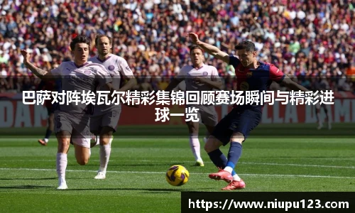 zoty中欧